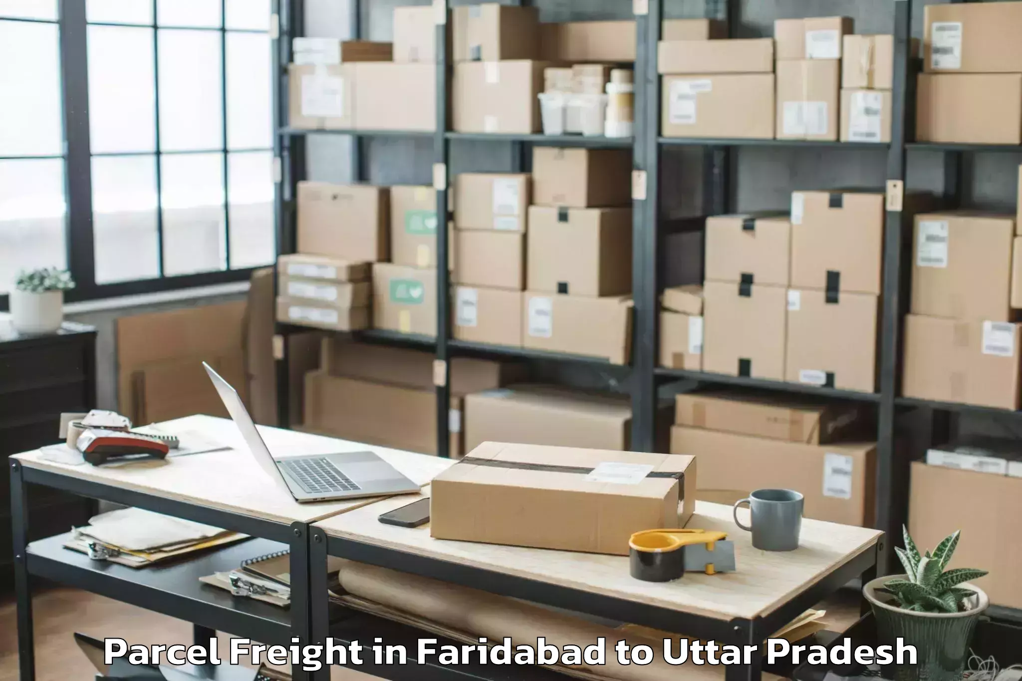 Book Your Faridabad to Kurara Parcel Freight Today